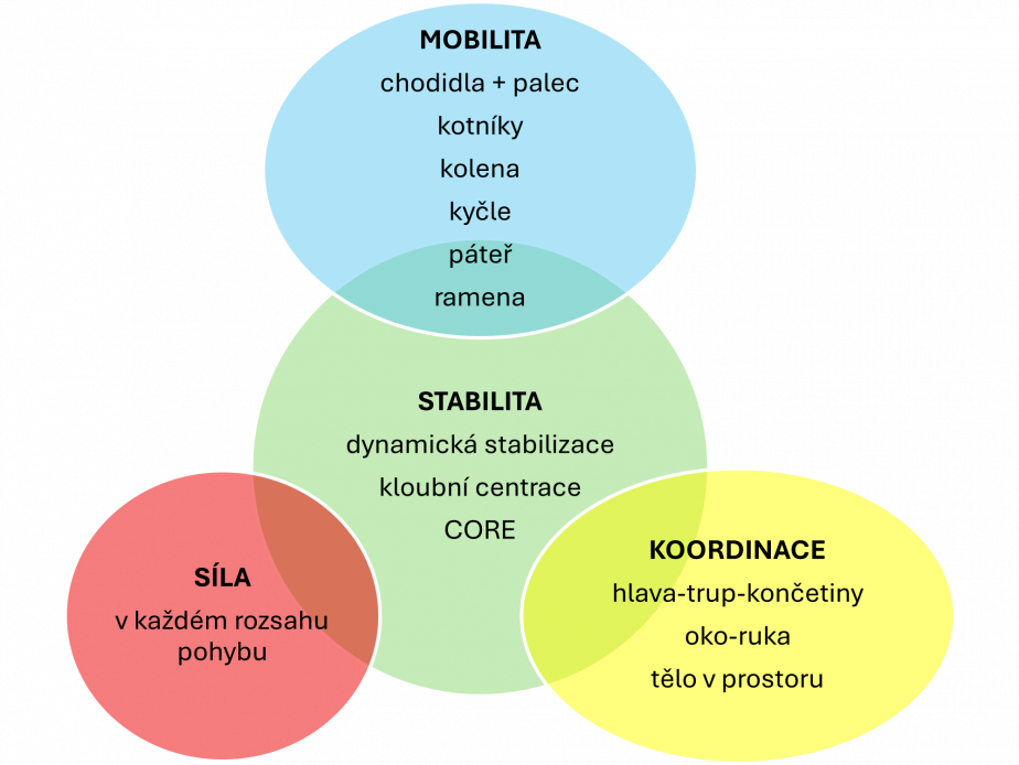 MOBILITA – STABILITA – SÍLA – KOORDINACE